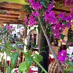 Hotel Caria 3*