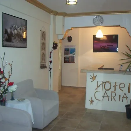 Caria Hotell 3*